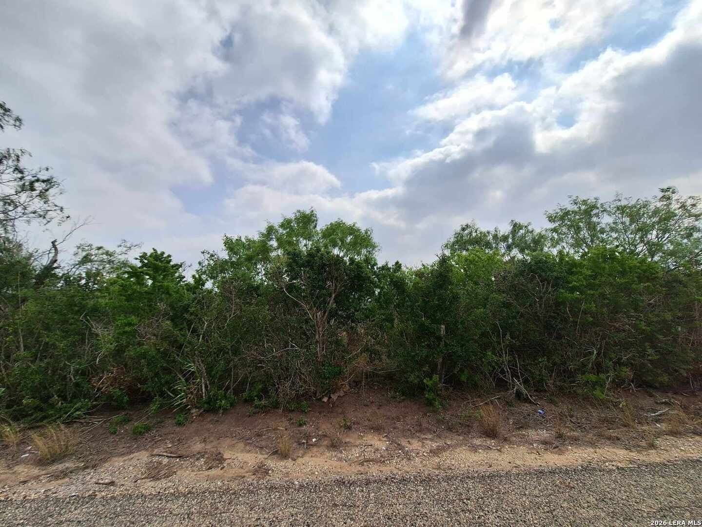 21.3 acres in Karnes County - photo 18