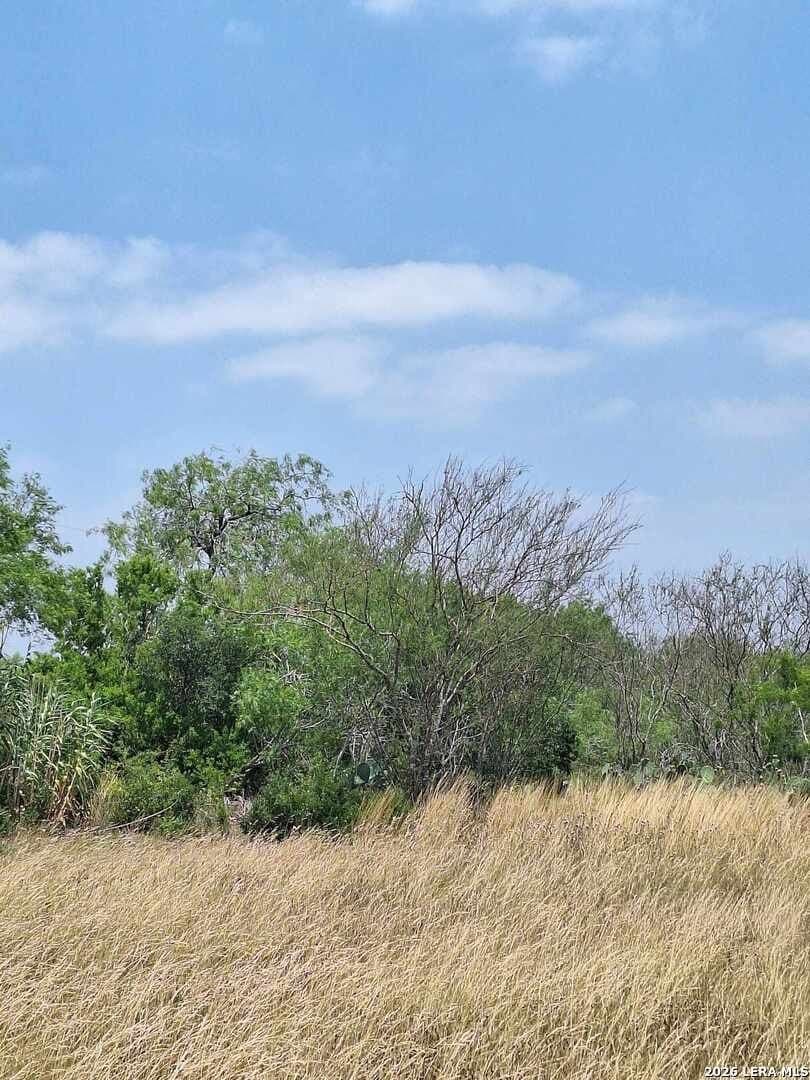 21.3 acres in Karnes County - photo 9