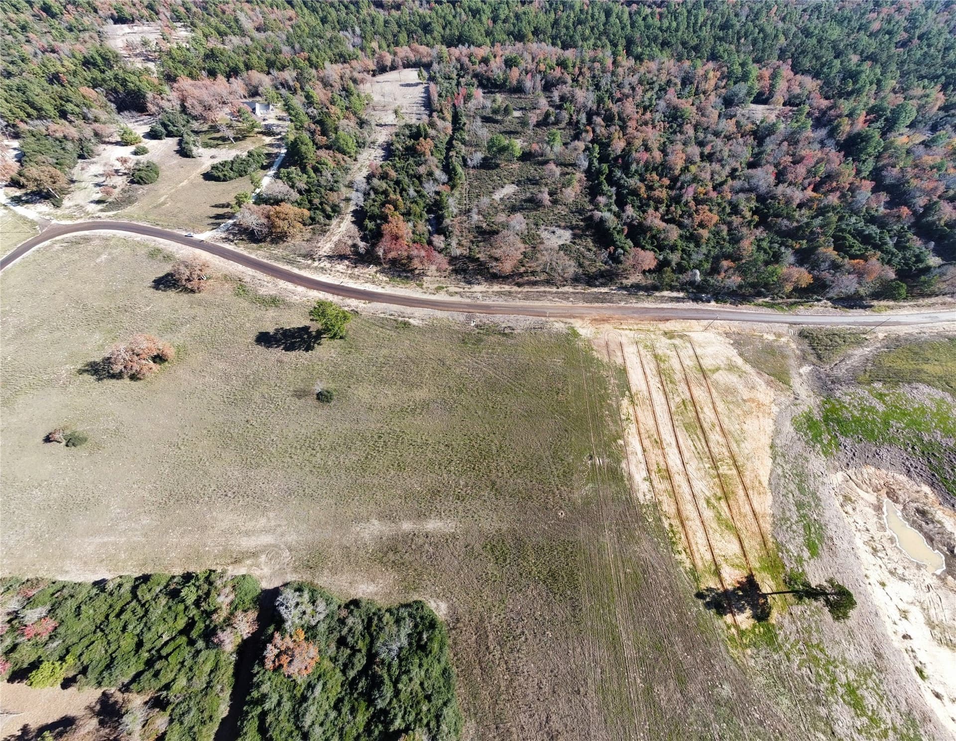 10 acres in Leon County - photo 8