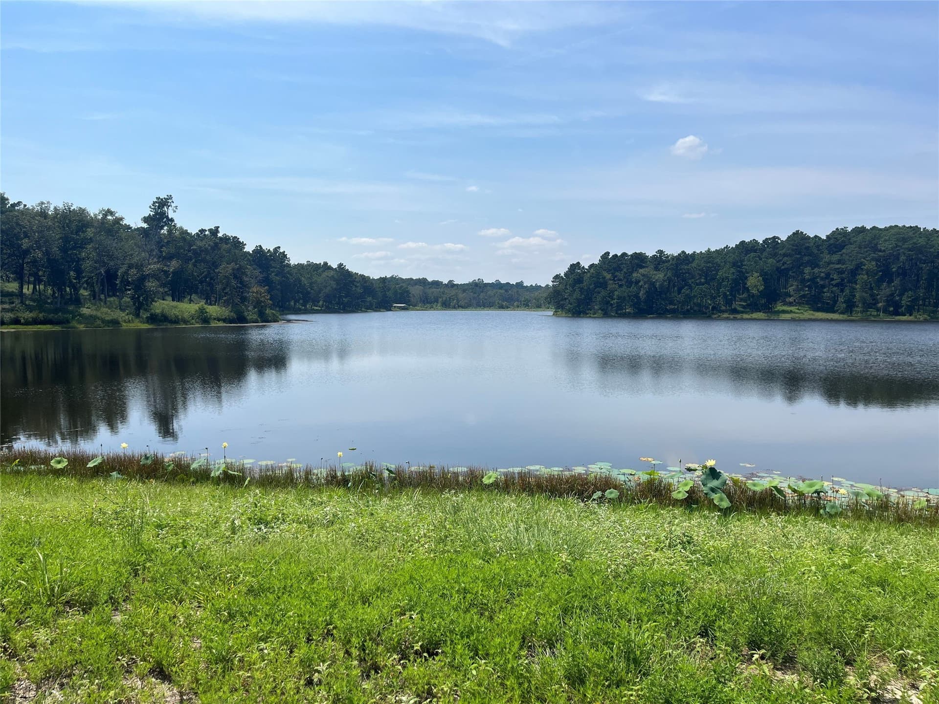 10 acres in Leon County - photo 20