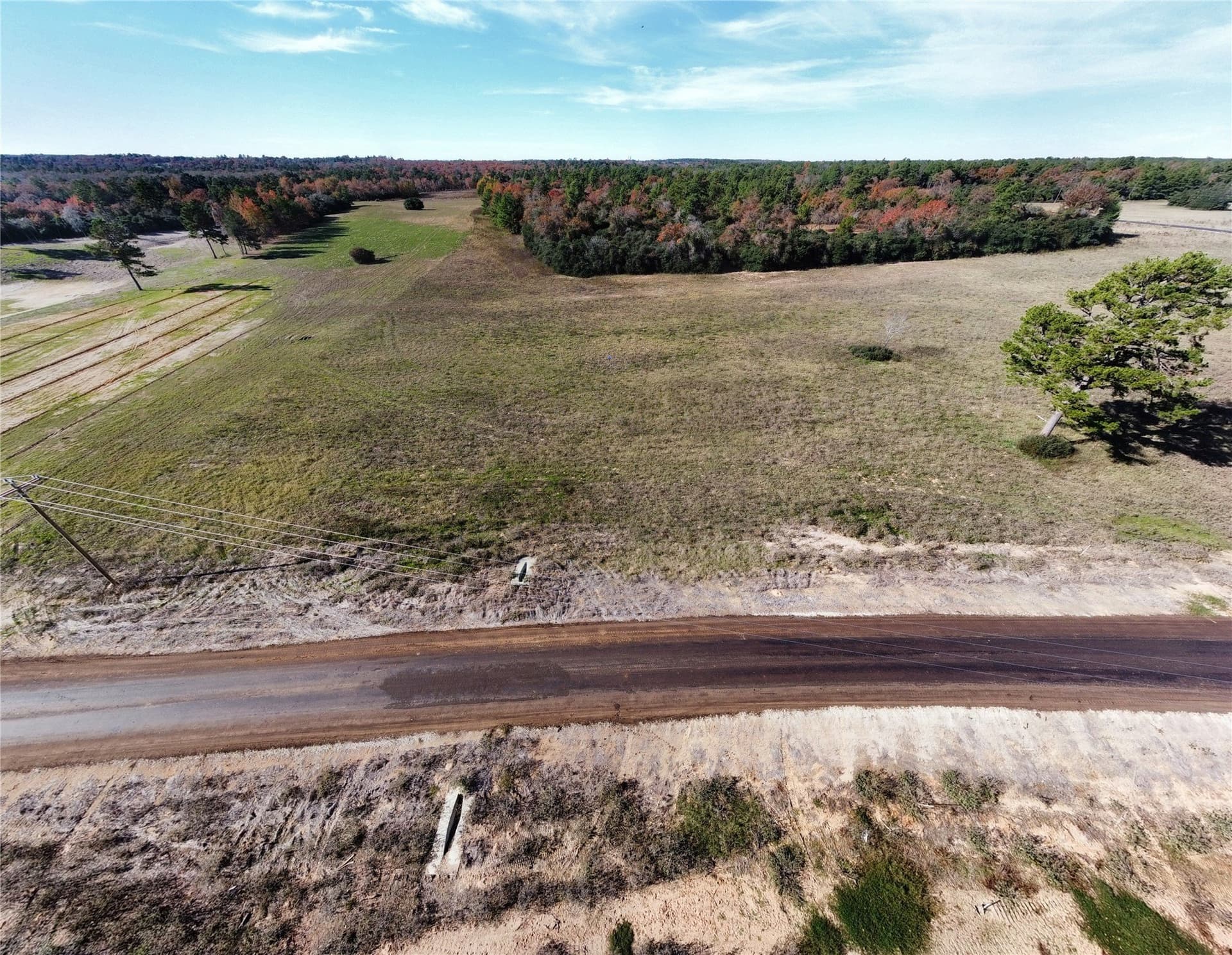 10 acres in Leon County - photo 6