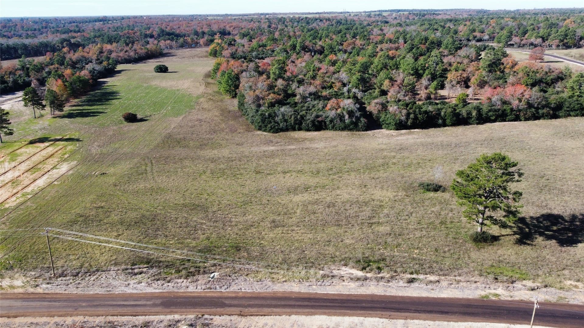 10 acres in Leon County - photo 7