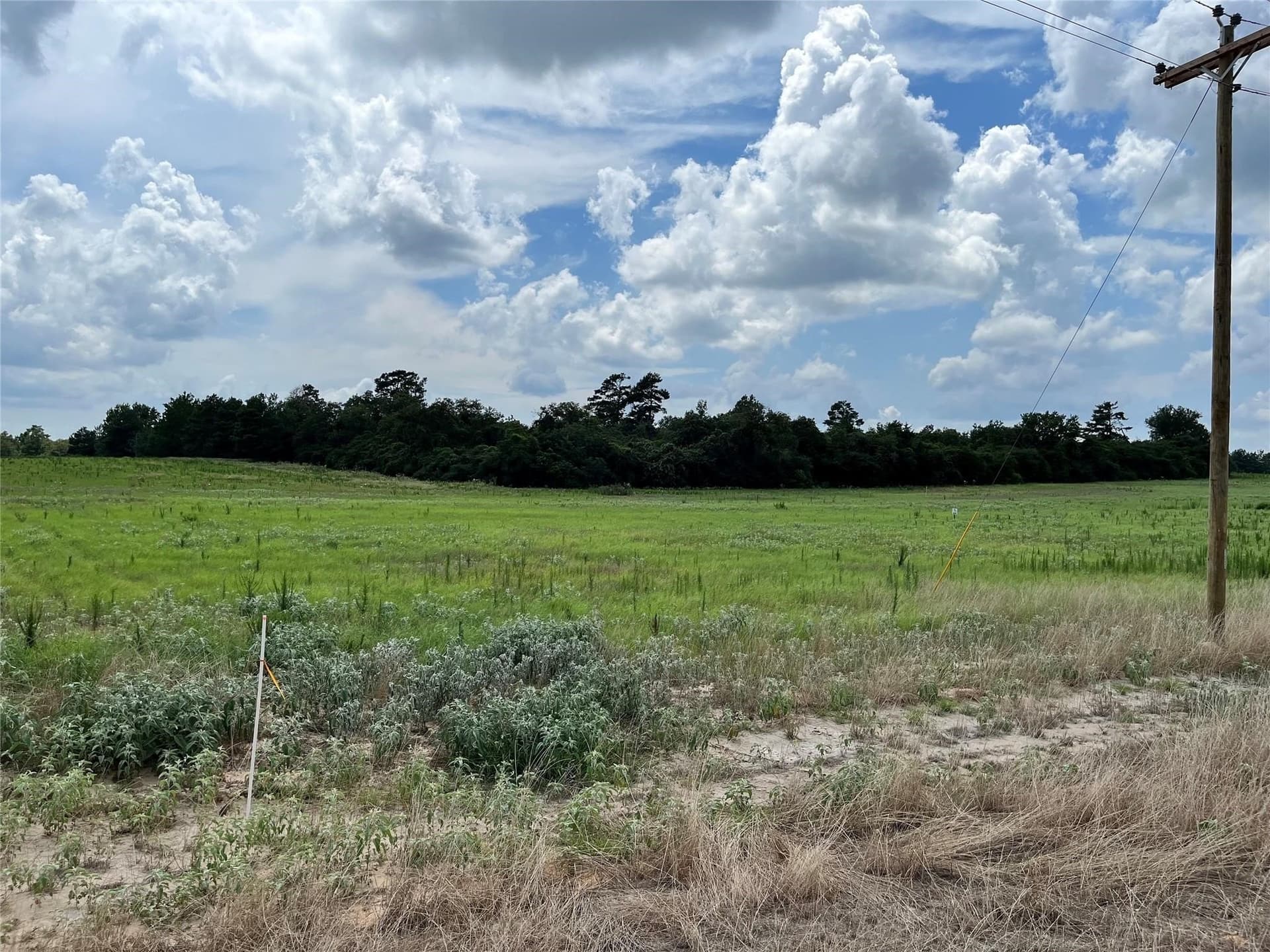 10 acres in Leon County - photo 10