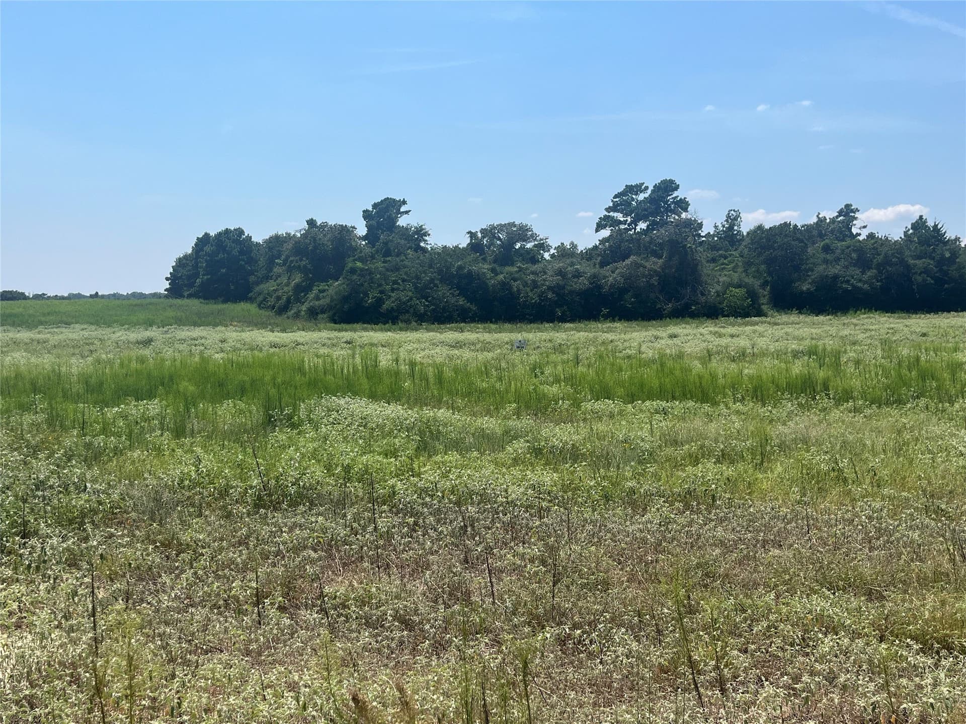 10 acres in Leon County - photo 12