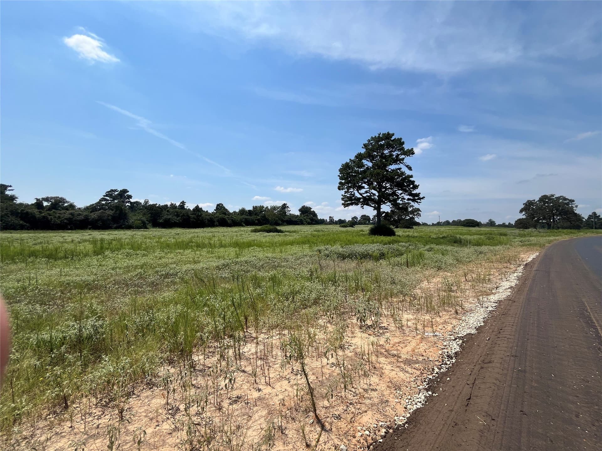 10 acres in Leon County - photo 13