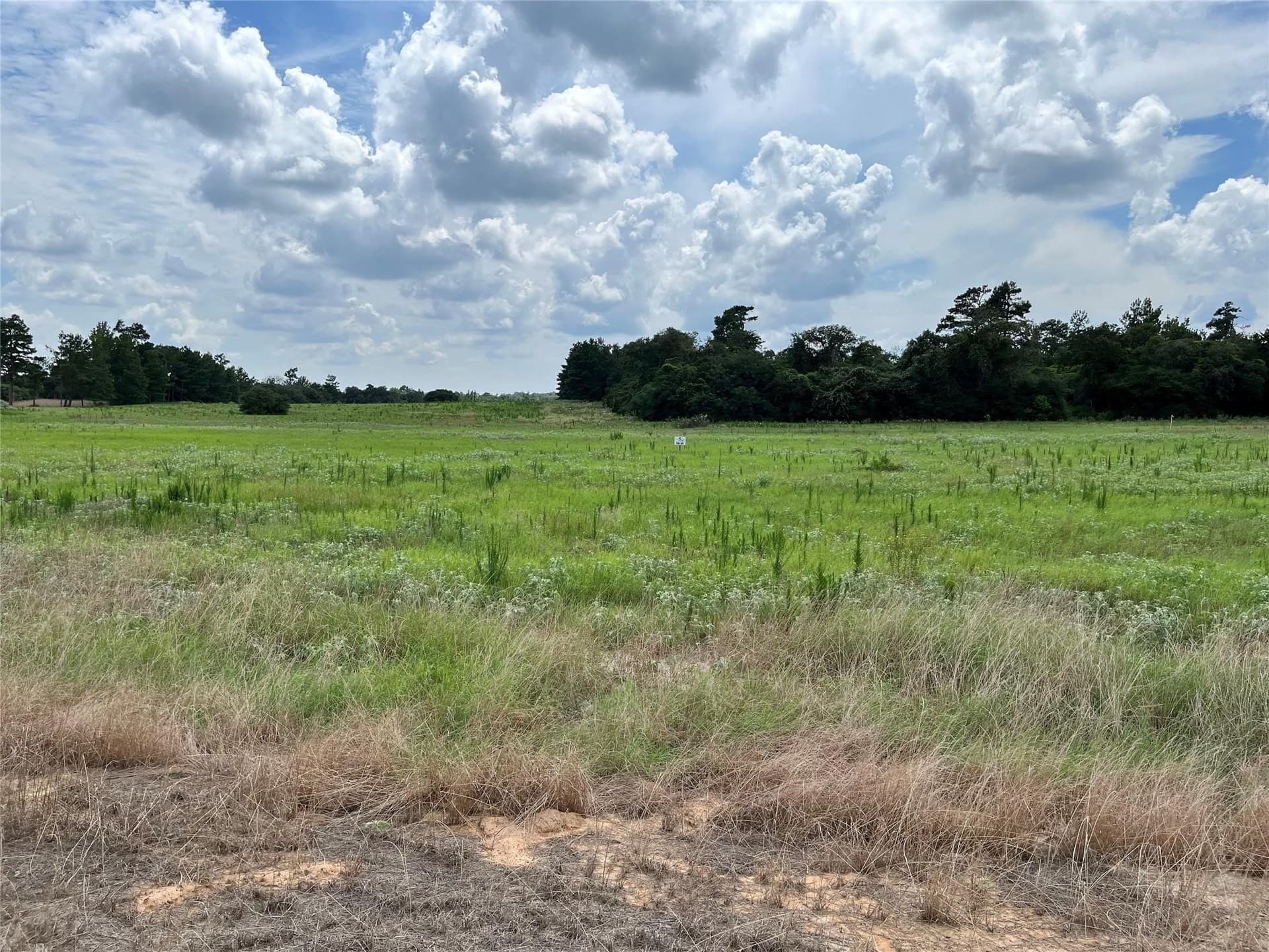 10 acres in Leon County - photo 11