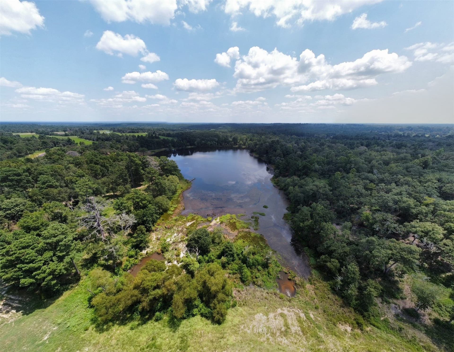 10 acres in Leon County - photo 14