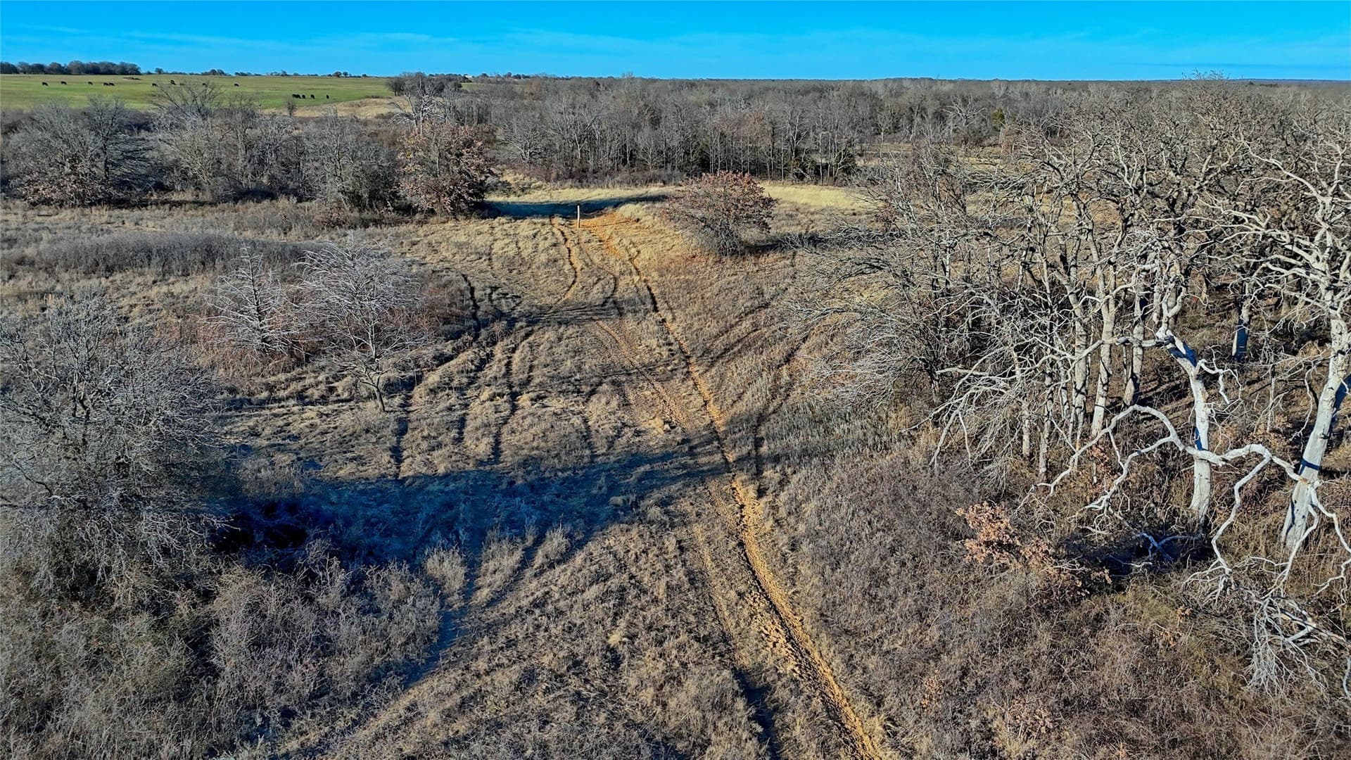 159.49 acres in Montague County - photo 22