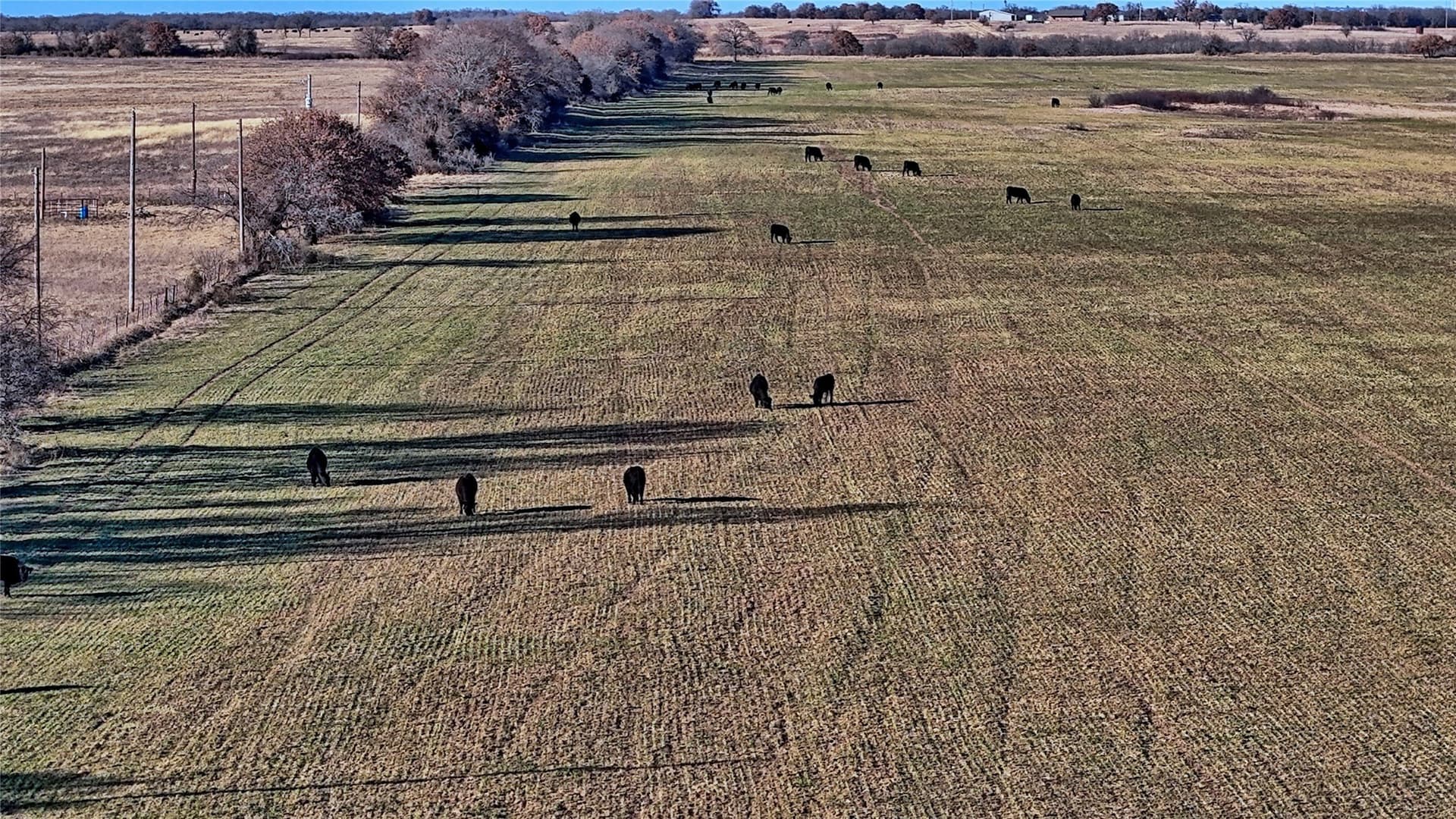 159.49 acres in Montague County - photo 14