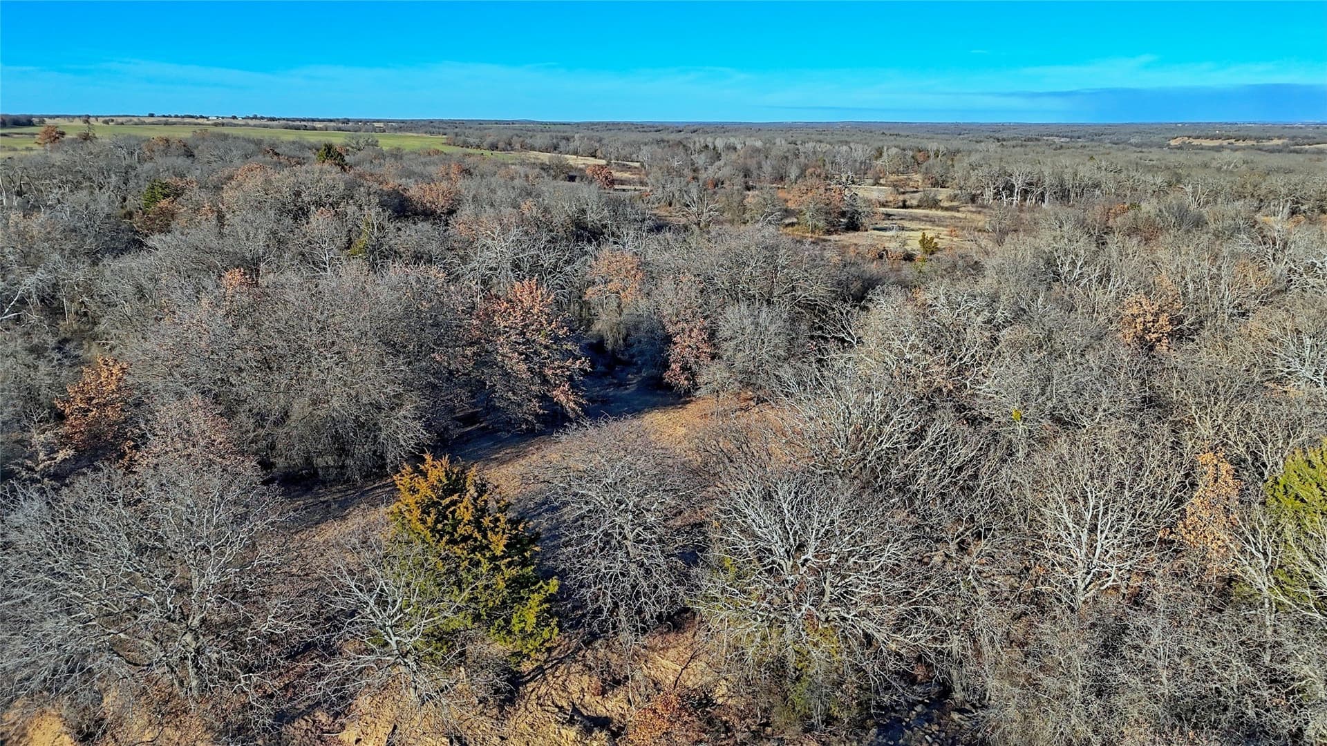 159.49 acres in Montague County - photo 8