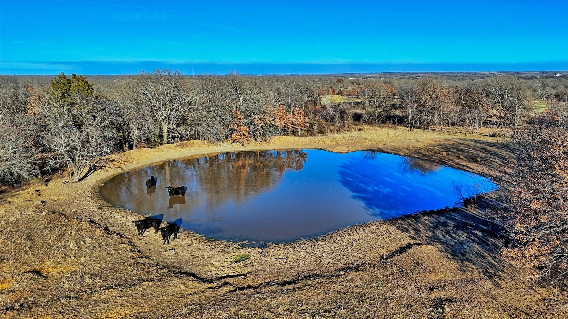 159.49 acres in Montague County - photo 15