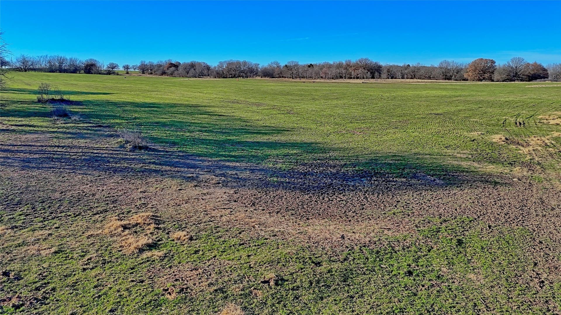 159.49 acres in Montague County - photo 11
