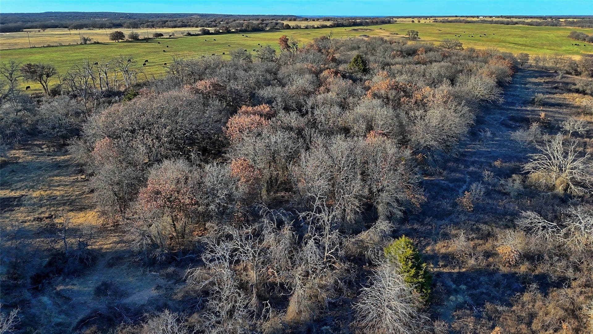 159.49 acres in Montague County - photo 18