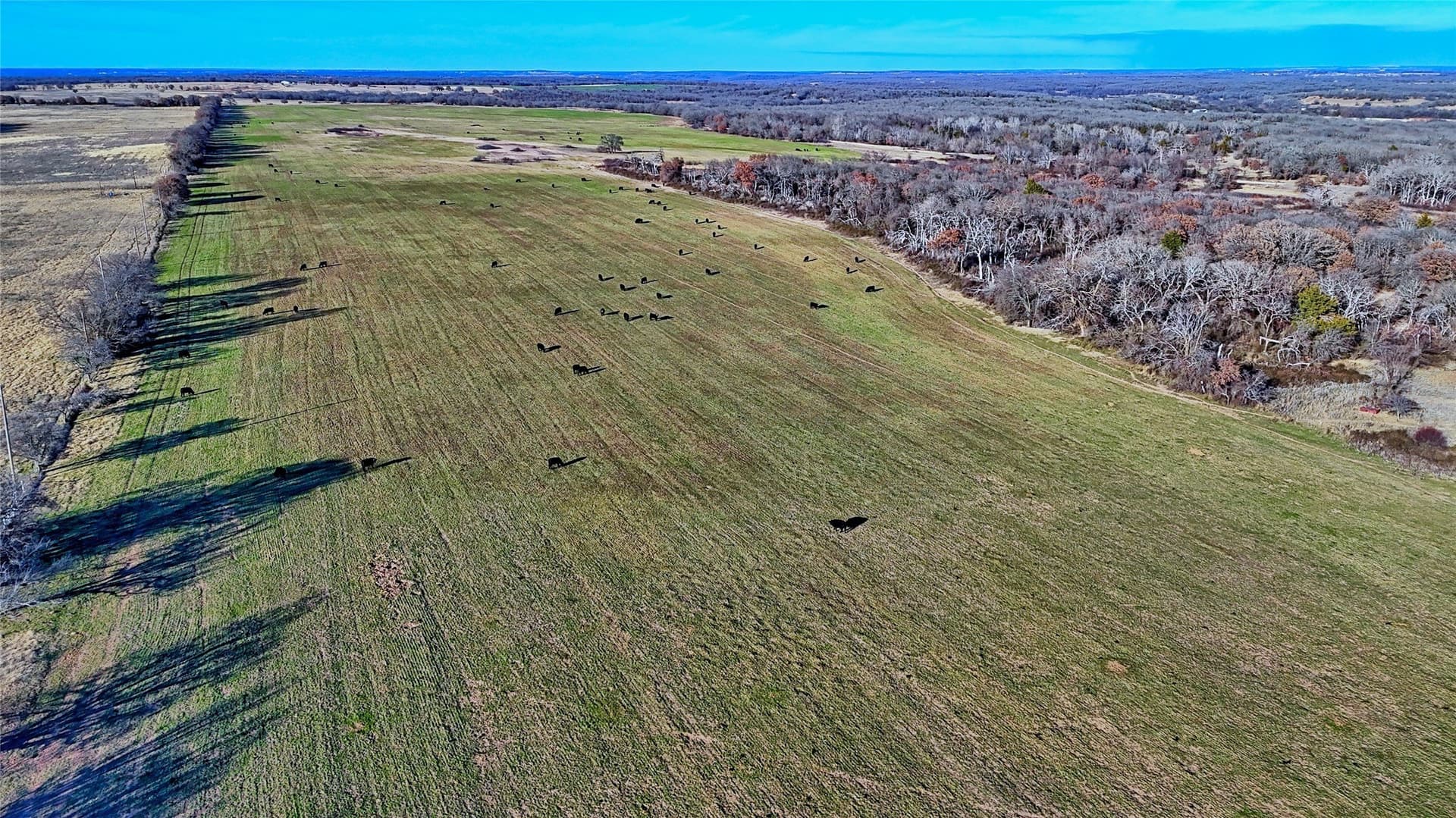 159.49 acres in Montague County - photo 4
