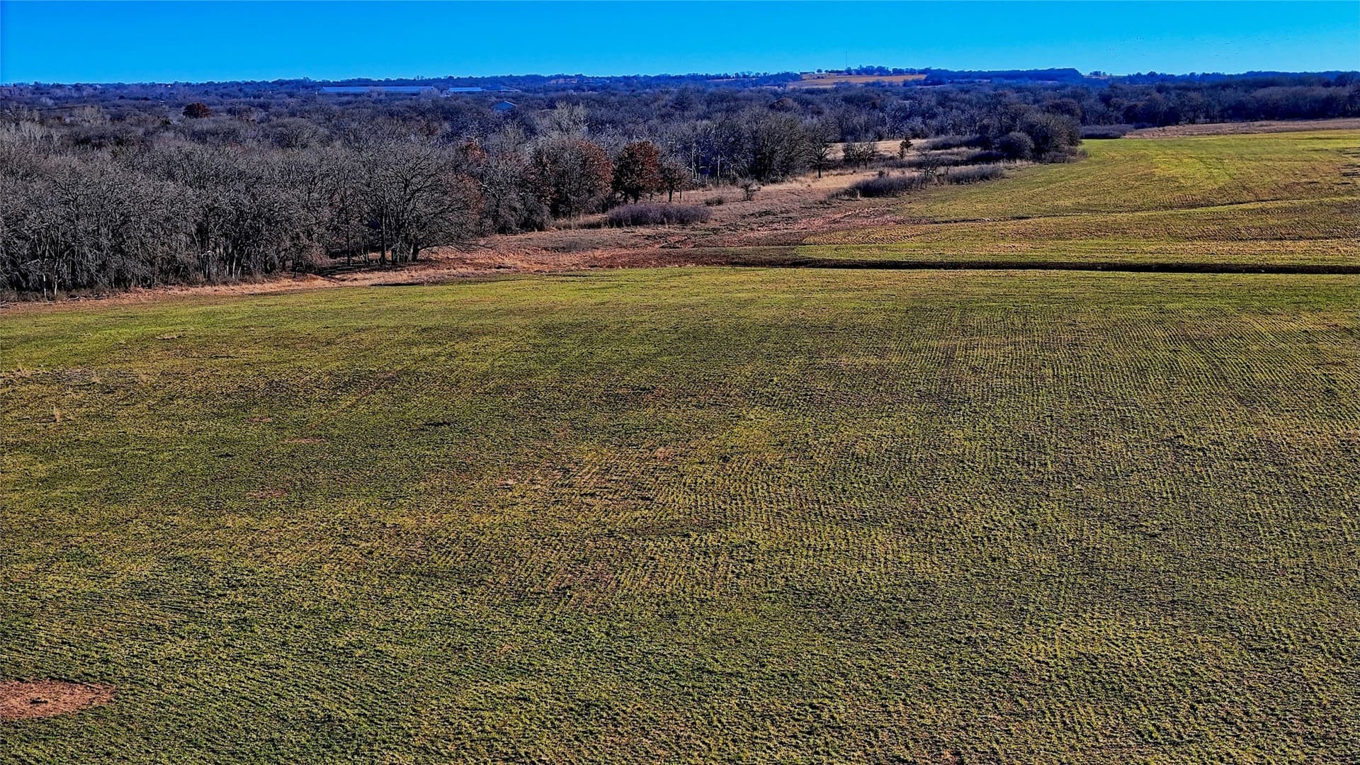 159.49 acres in Montague County - photo 21