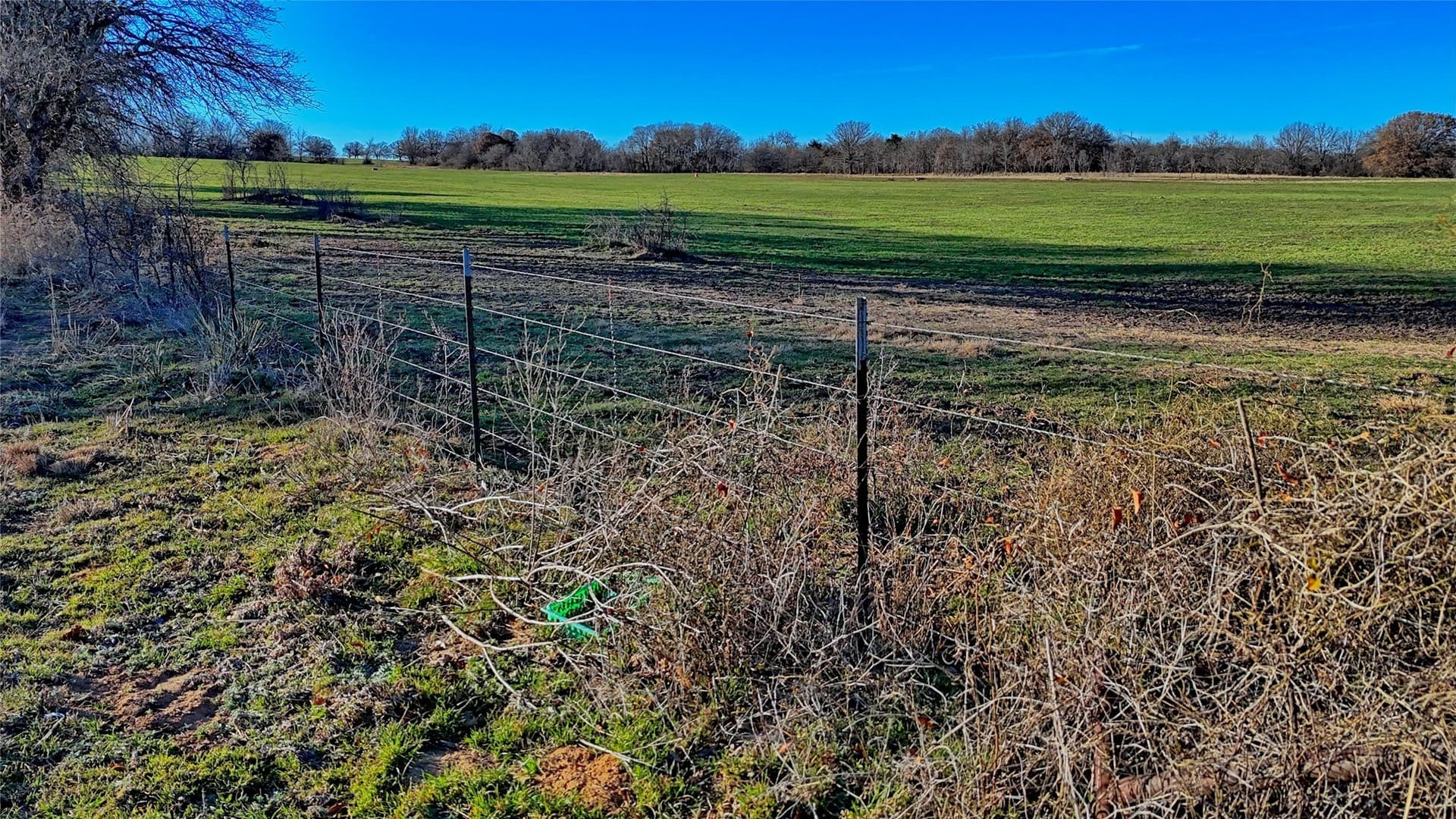 159.49 acres in Montague County - photo 6