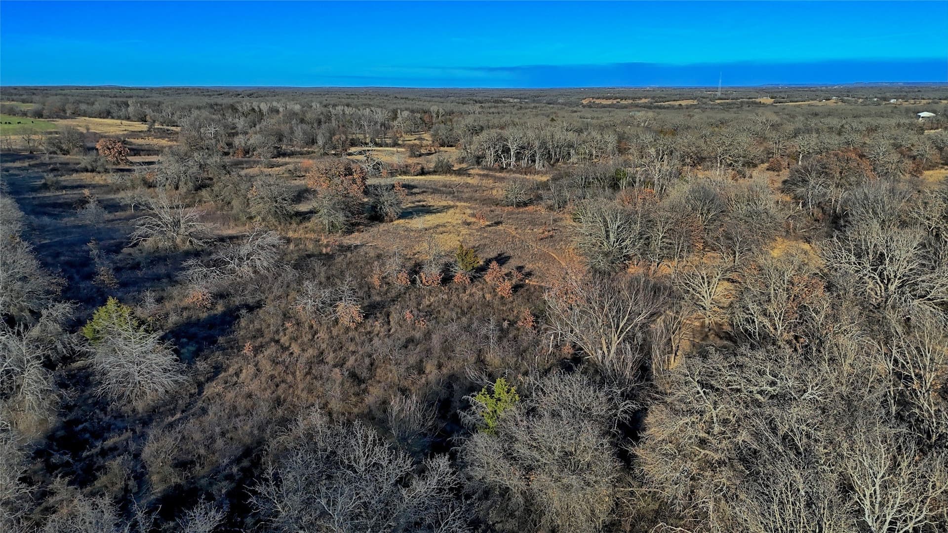 159.49 acres in Montague County - photo 23