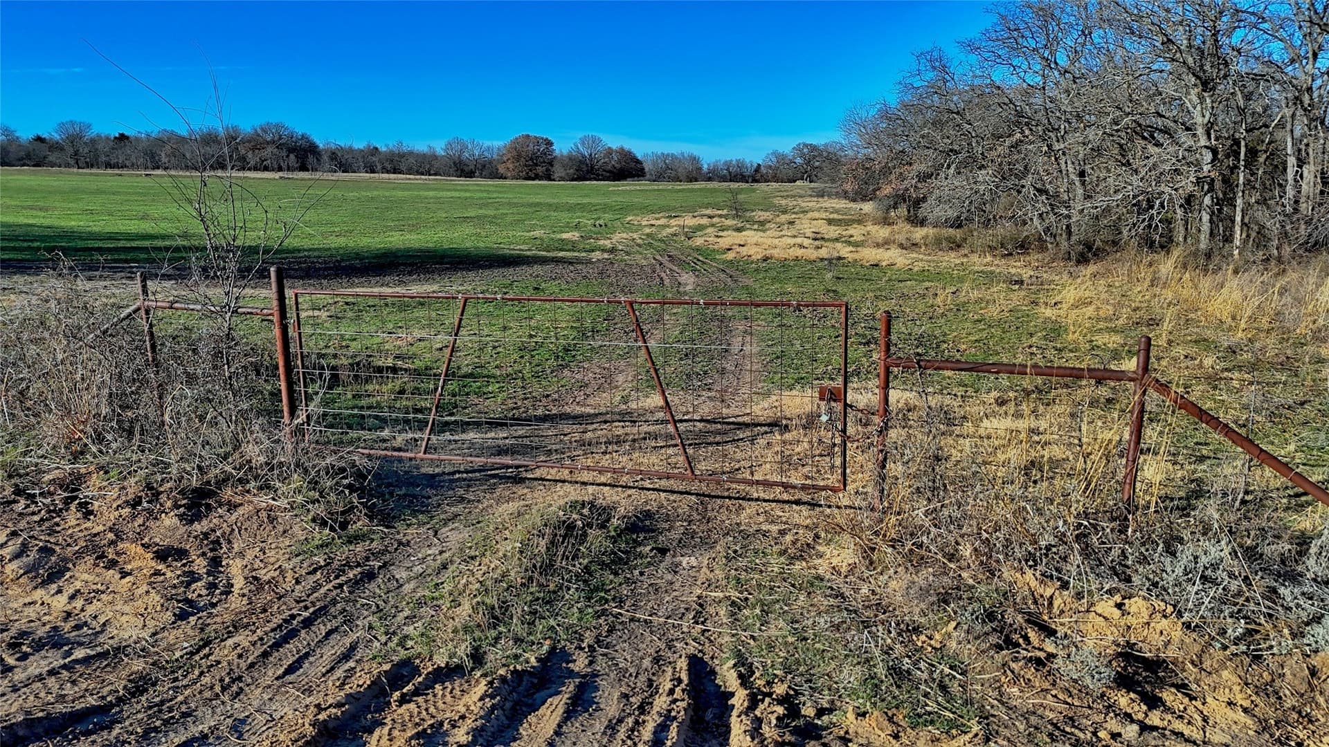 159.49 acres in Montague County - photo 9