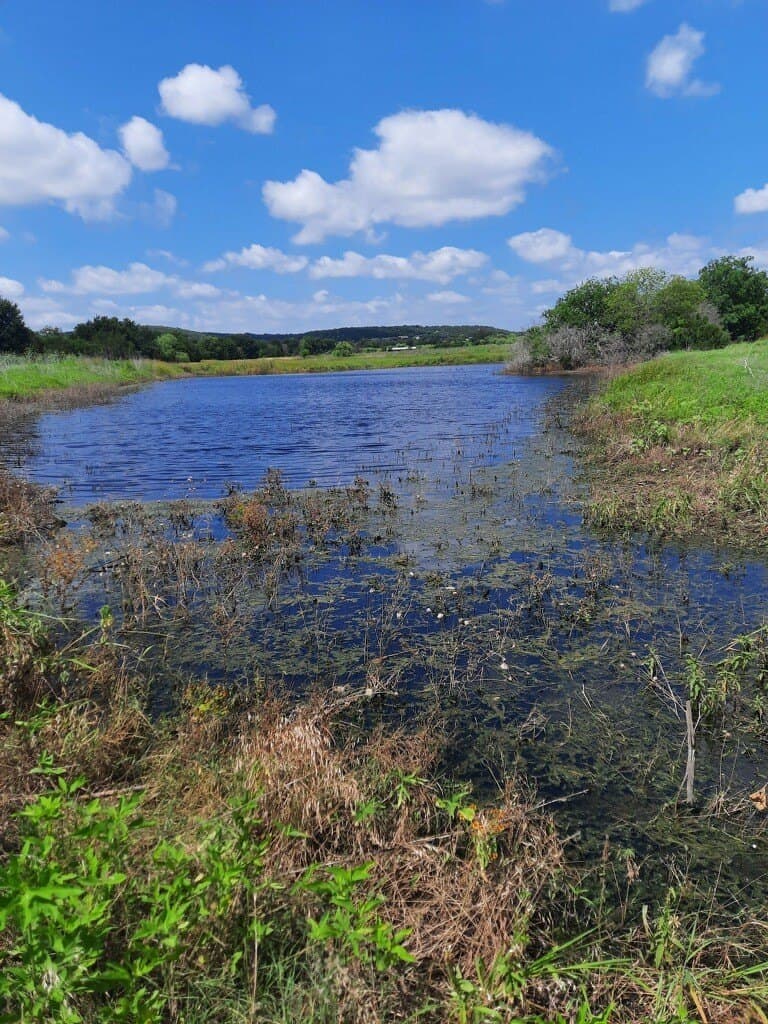 191 acres in Bosque County - photo 2