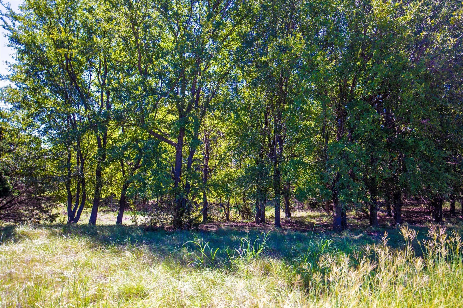 191 acres in Bosque County - photo 34