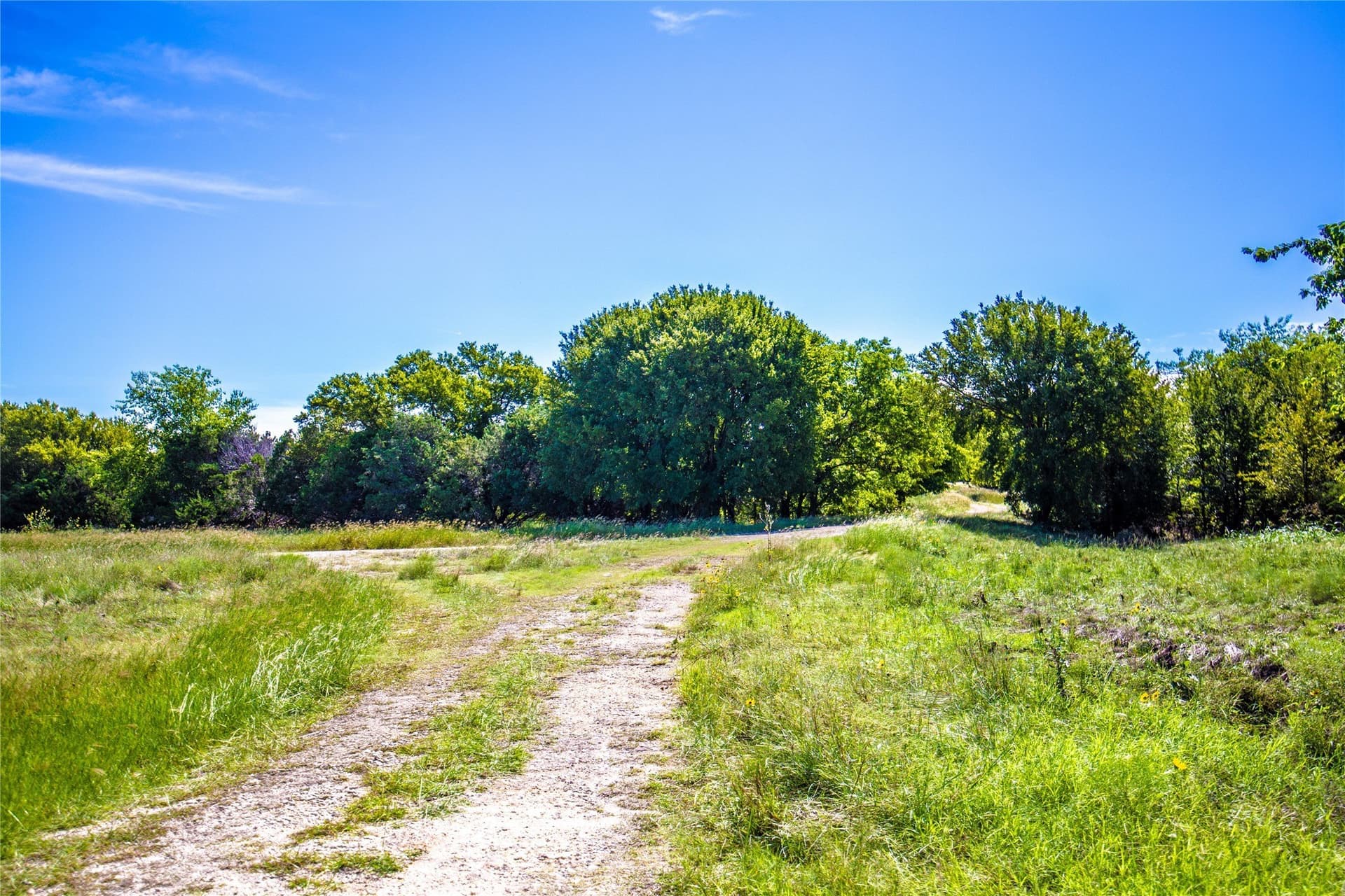 191 acres in Bosque County - photo 35
