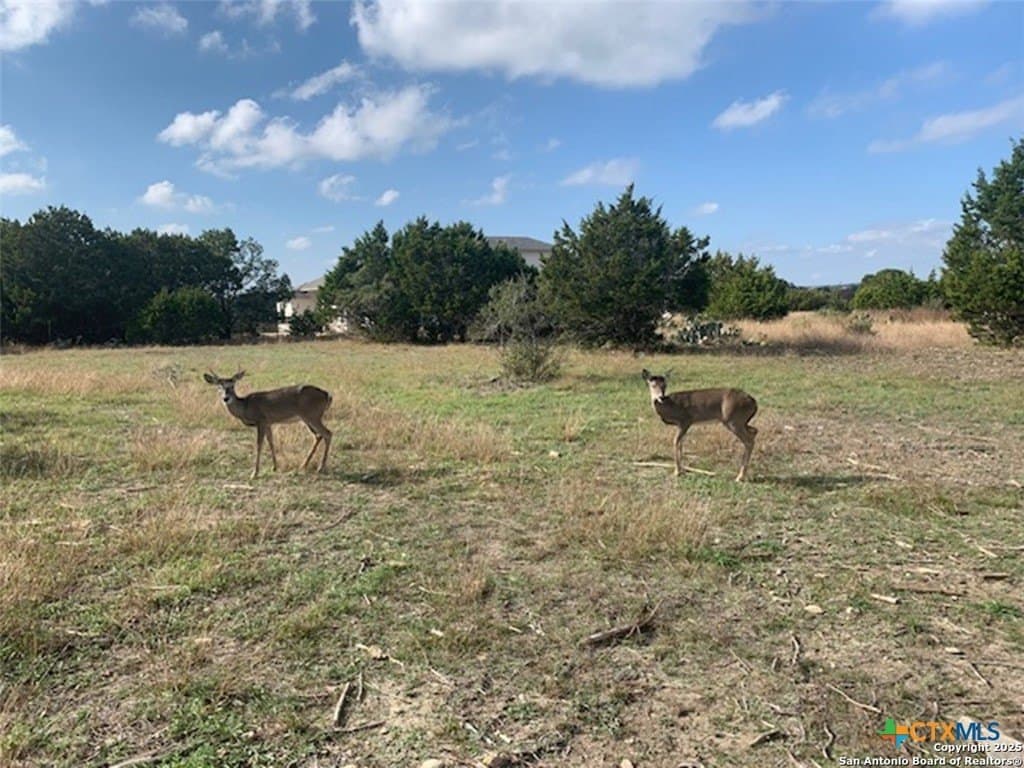 0.84 acres in Comal County - photo 15