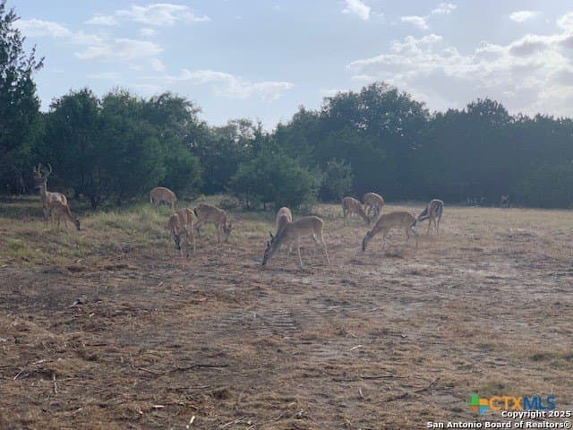 0.84 acres in Comal County - photo 14