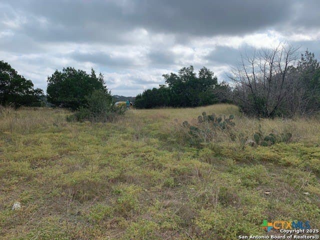 0.84 acres in Comal County gallery image 3