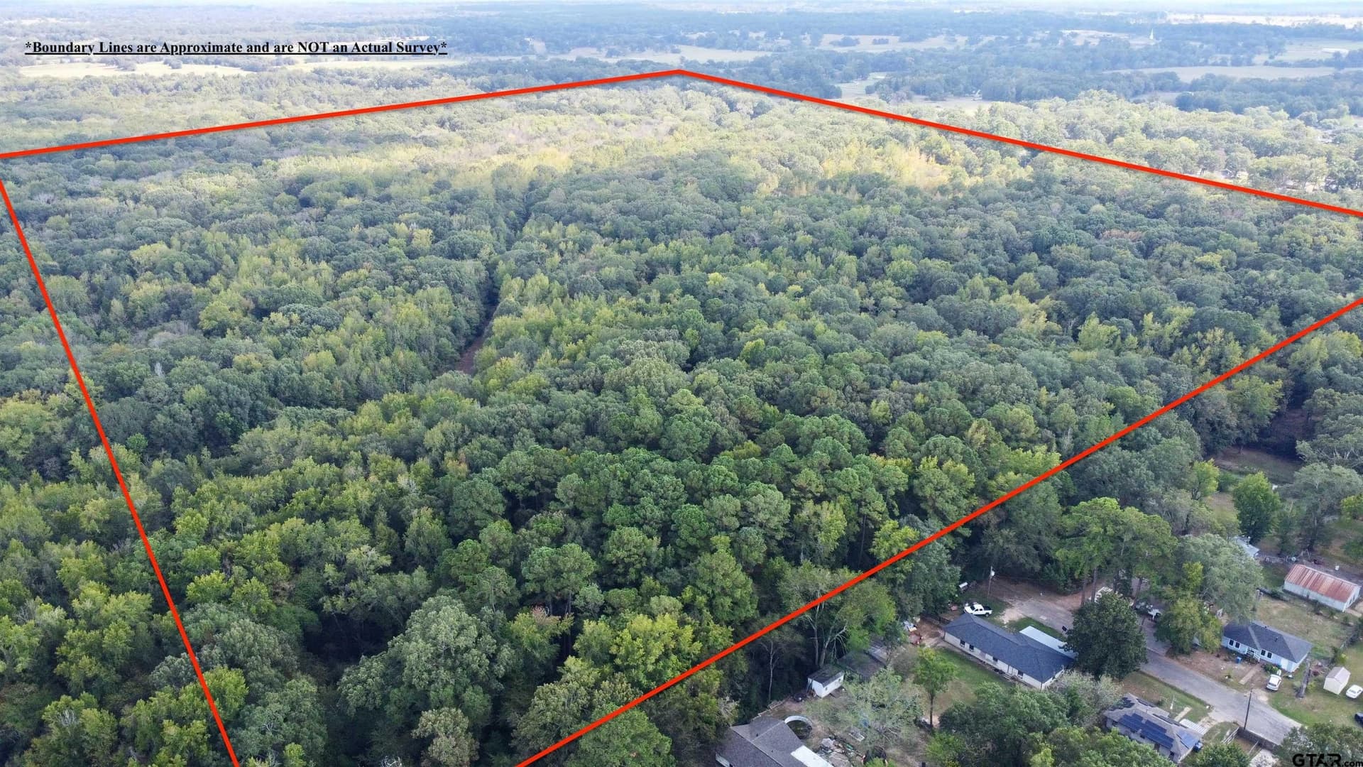 100 acres in Titus County gallery image 2