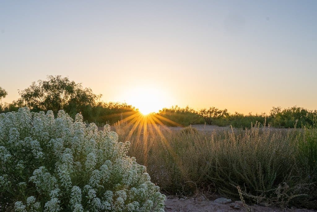 644 acres in Pecos County featured view