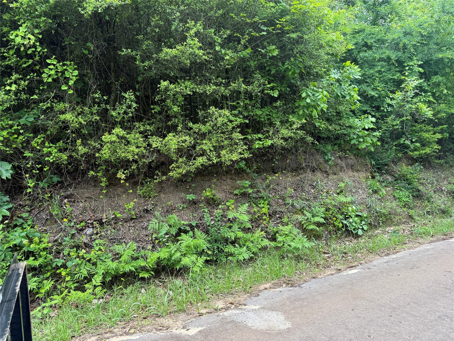 7 acres in Cass County gallery image 3