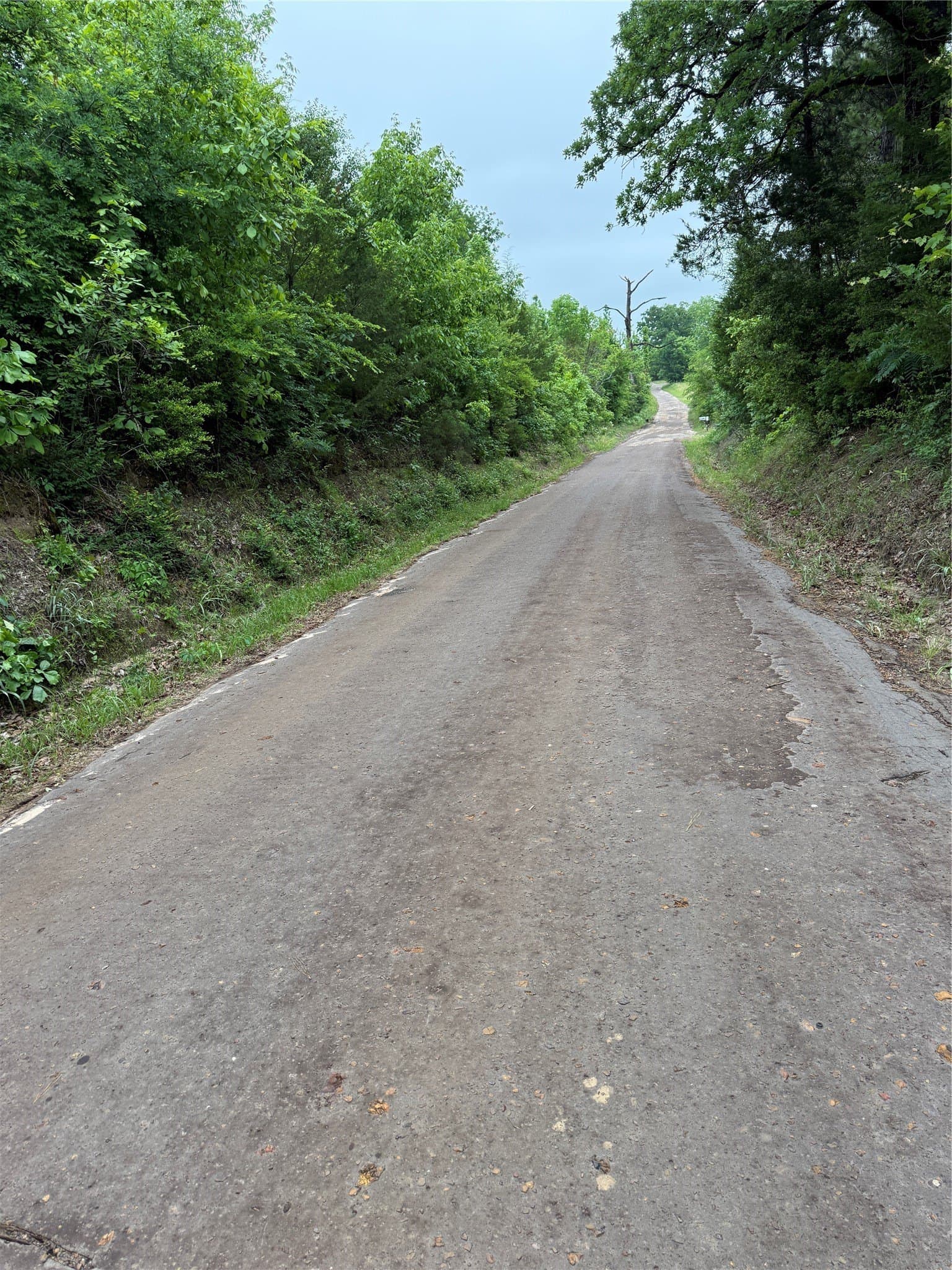 7 acres in Cass County gallery image 2