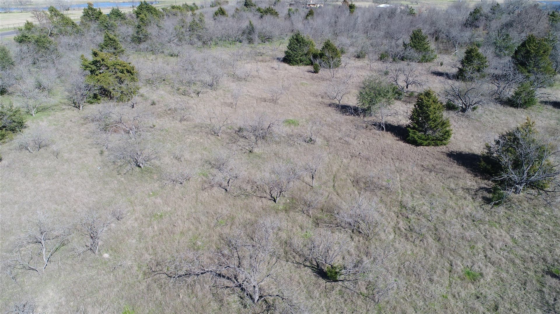 18.58 acres in Navarro County - photo 13