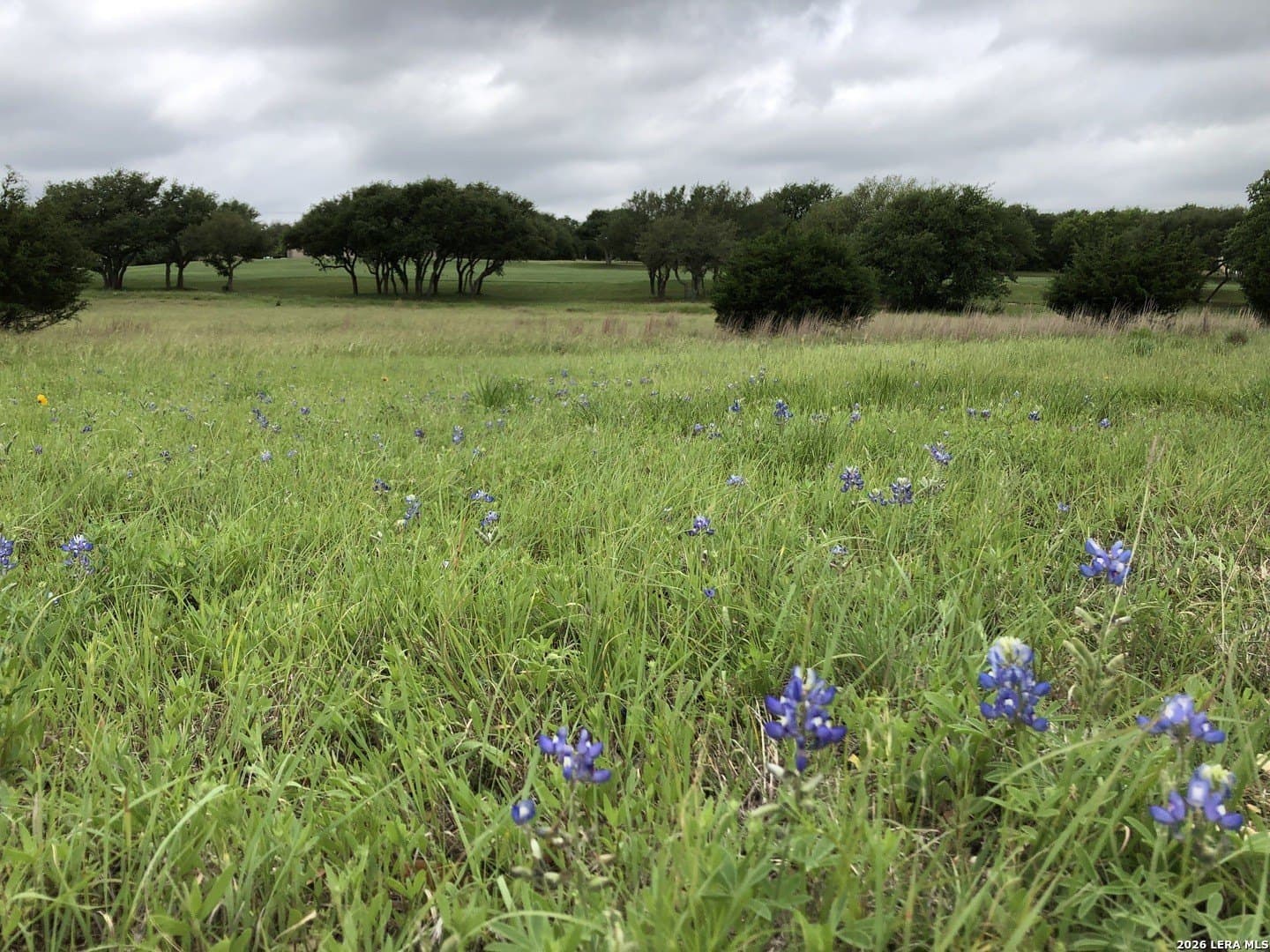 0.31 acres in Blanco County gallery image 4