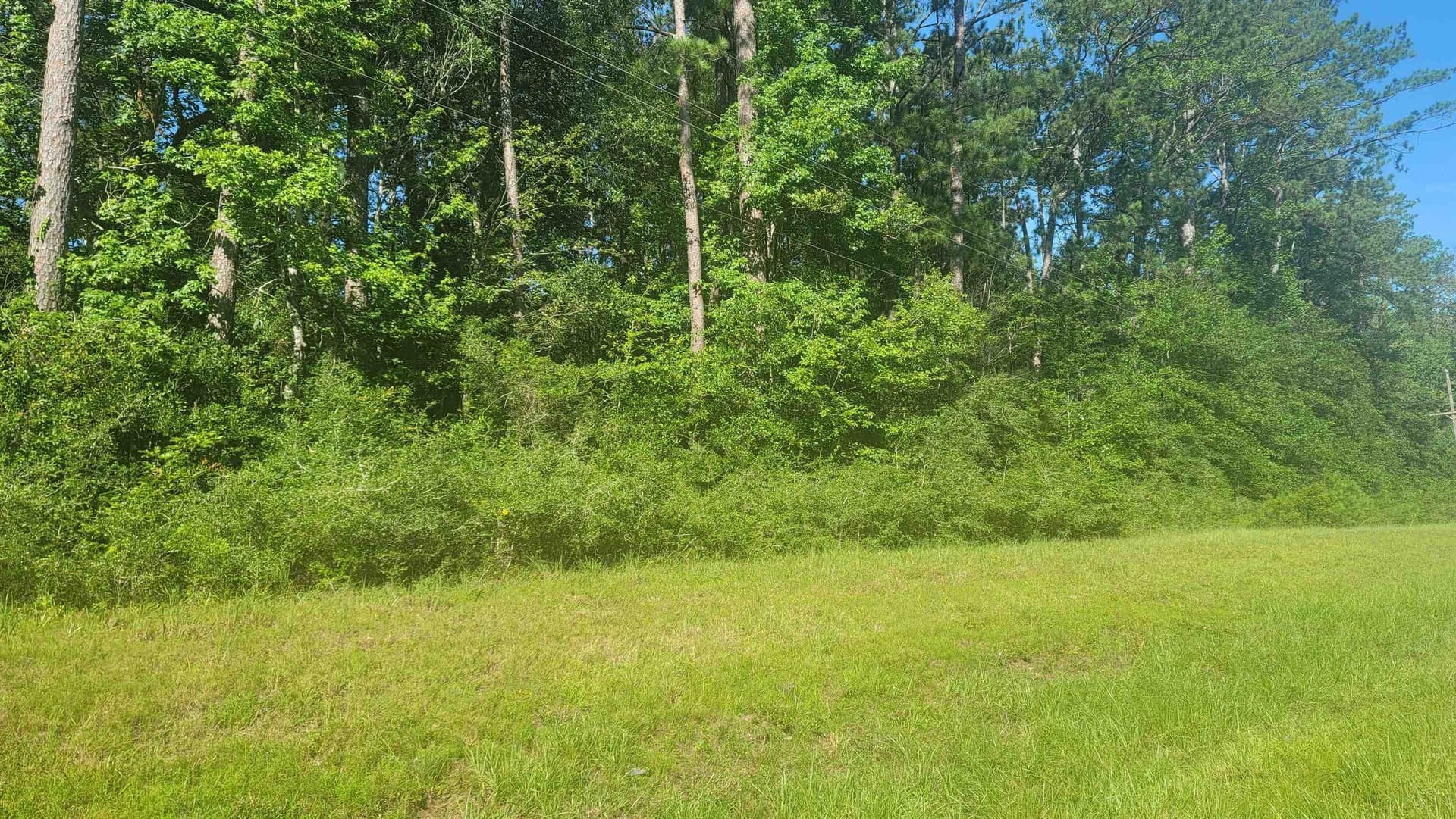 13.3 acres in Texas County