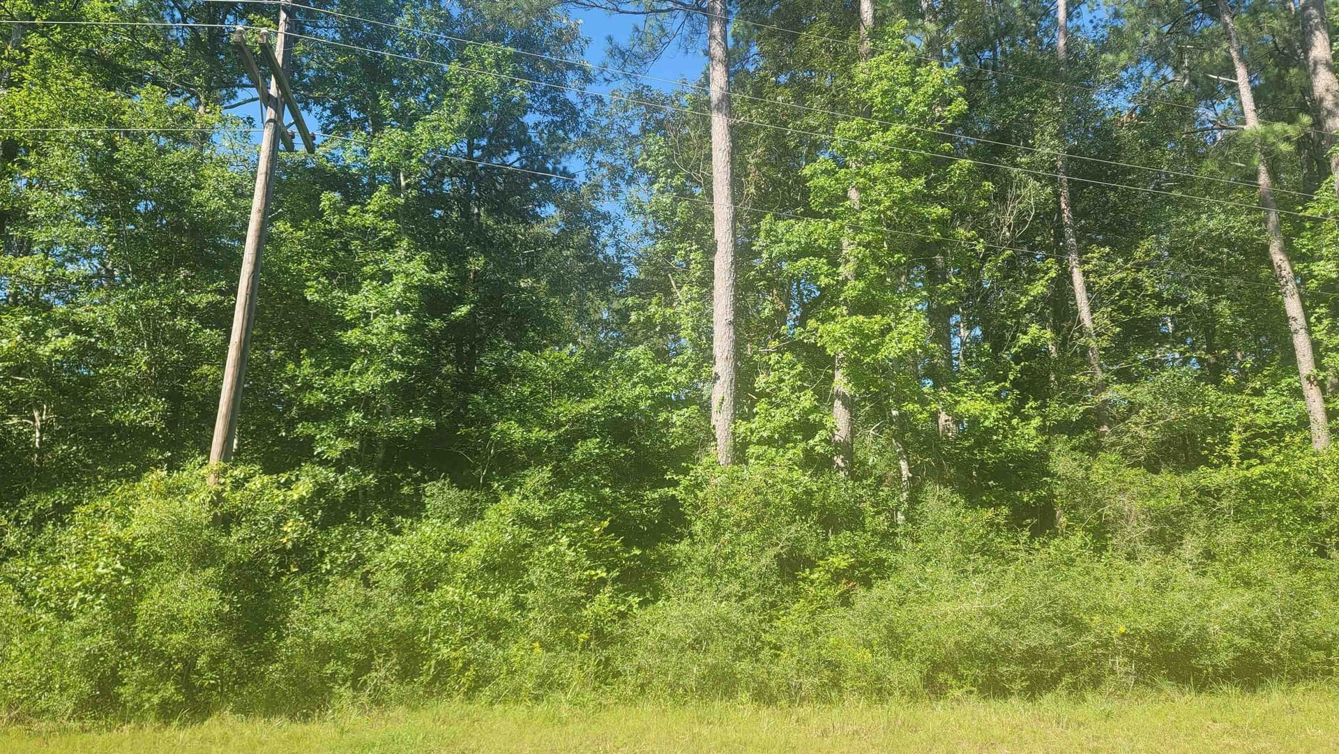 13.3 acres in Texas County gallery image 3