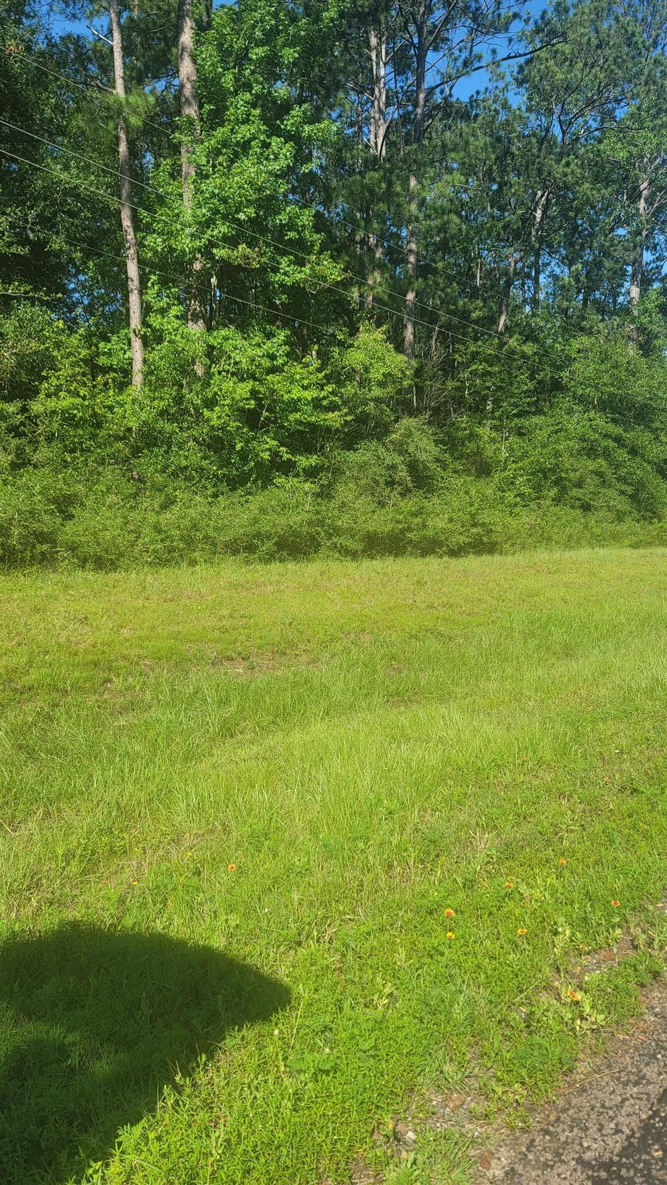 13.3 acres in Texas County gallery image 2