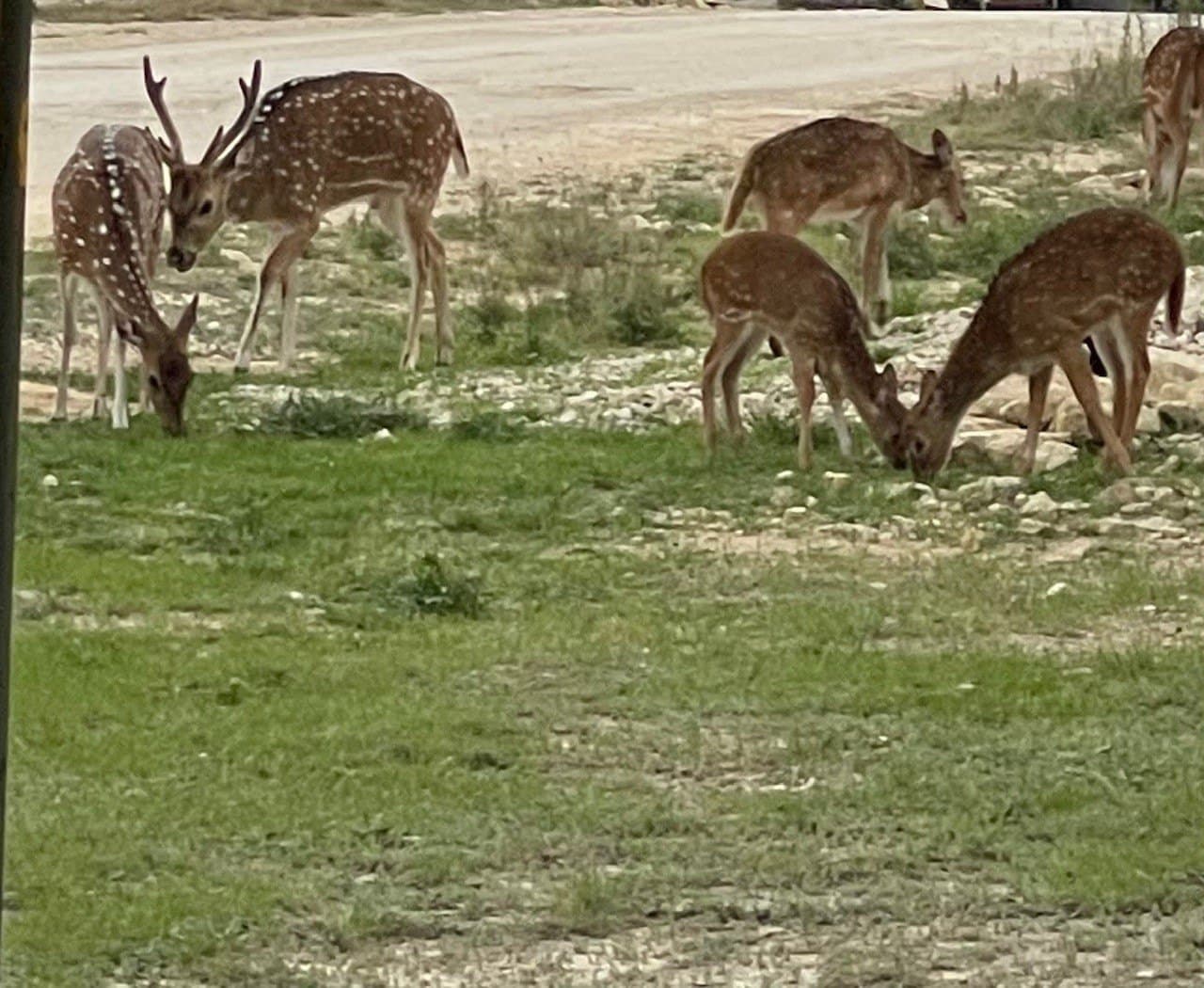 1.02 acres in Bandera County gallery image 2
