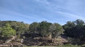 0.08 acres in Hood County - photo 3
