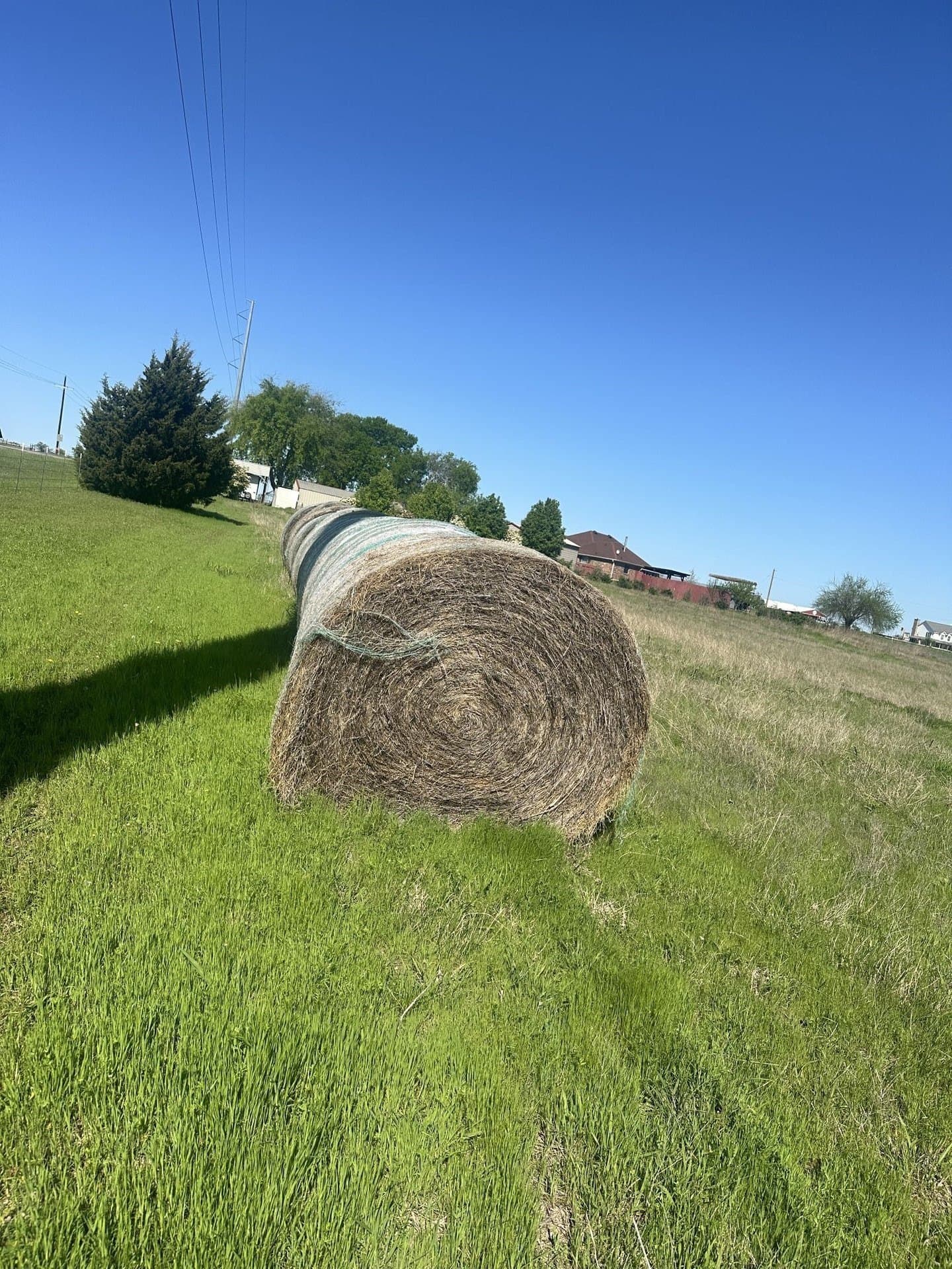 3.43 acres in Collin County - photo 6