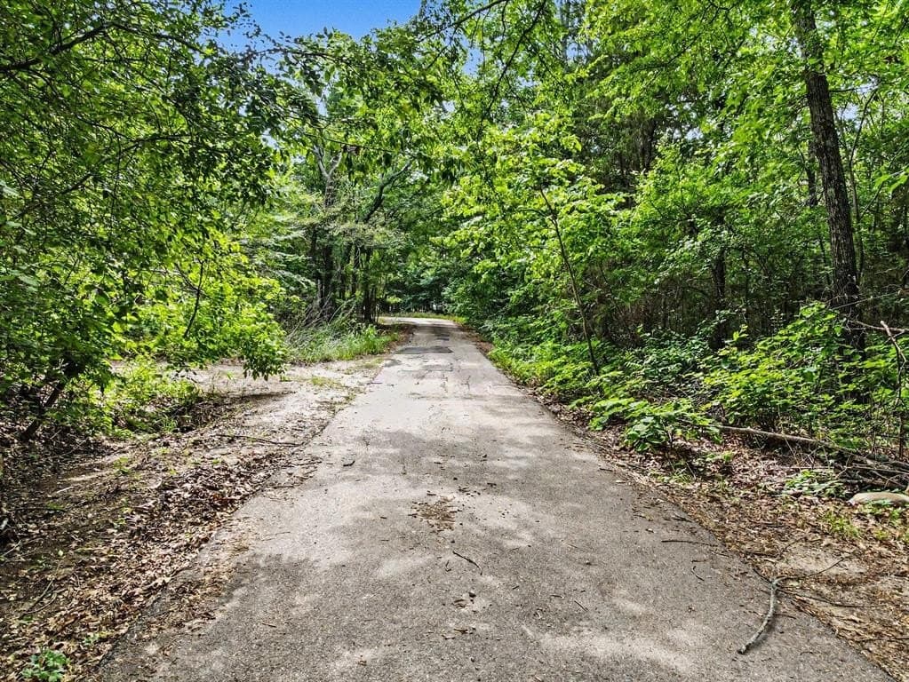 0.2 acres in Hunt County gallery image 2