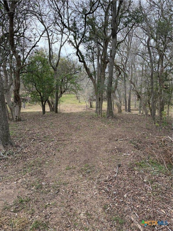 2.23 acres in DeWitt County gallery image 4