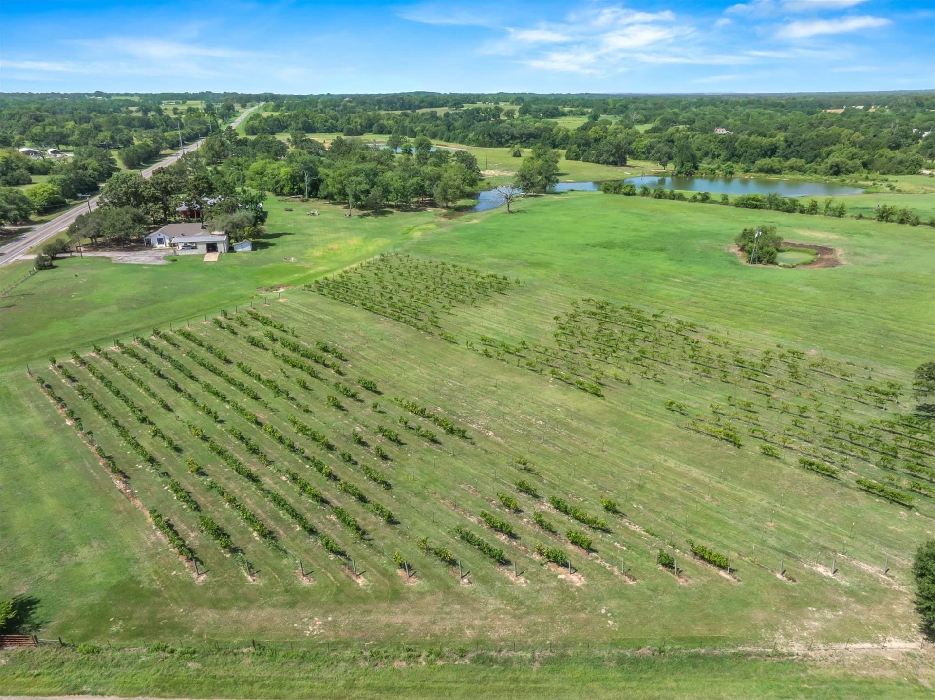 27.8 acres in Van Zandt County - photo 2