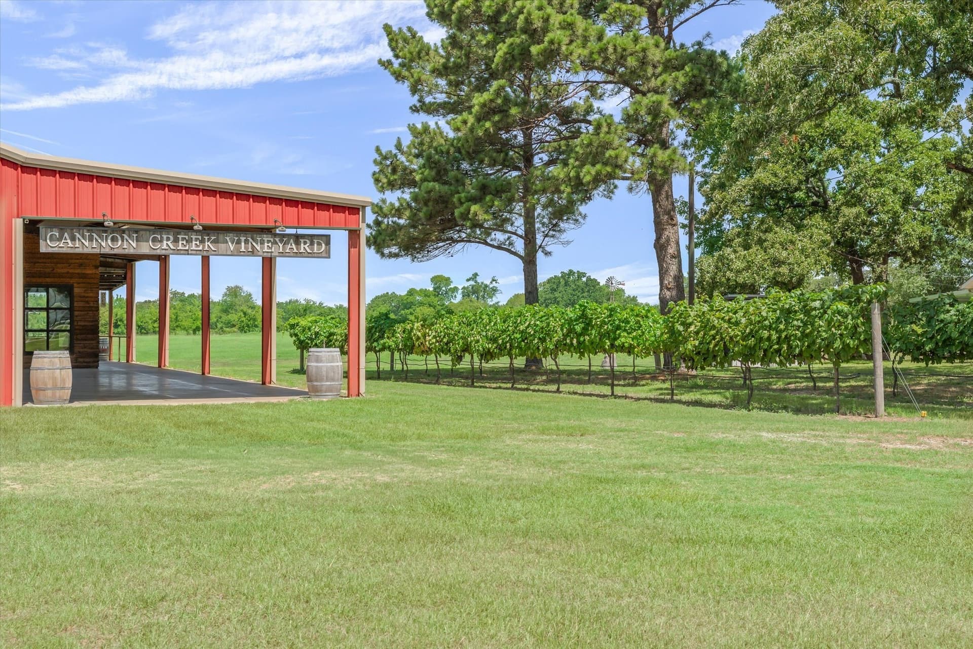 27.8 acres in Van Zandt County - photo 8