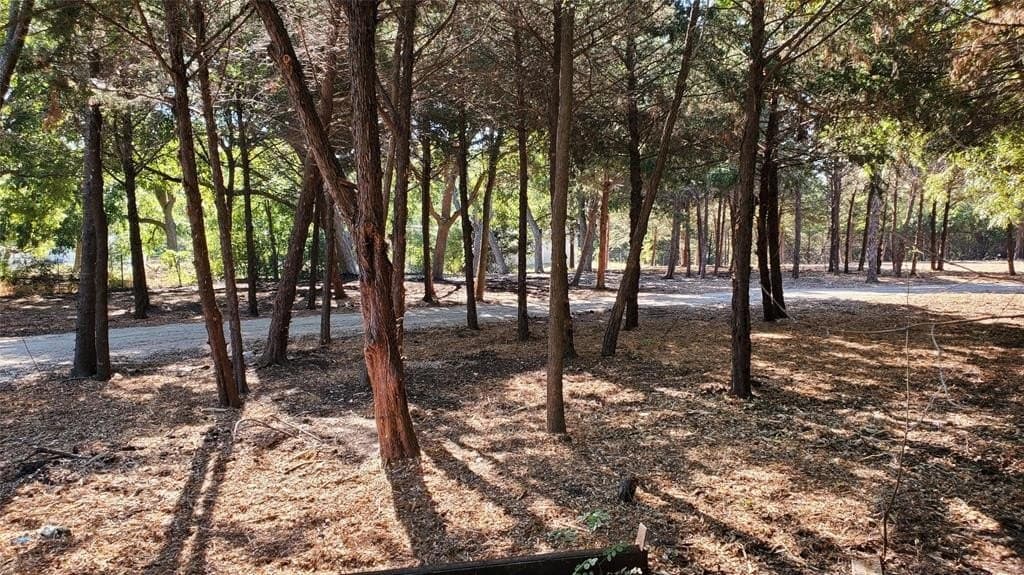 0.8 acres in Collin County gallery image 3