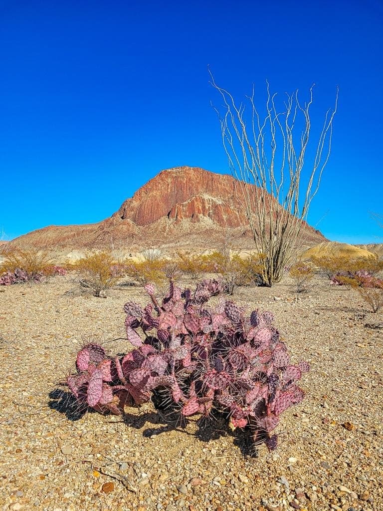 10 acres in Brewster County