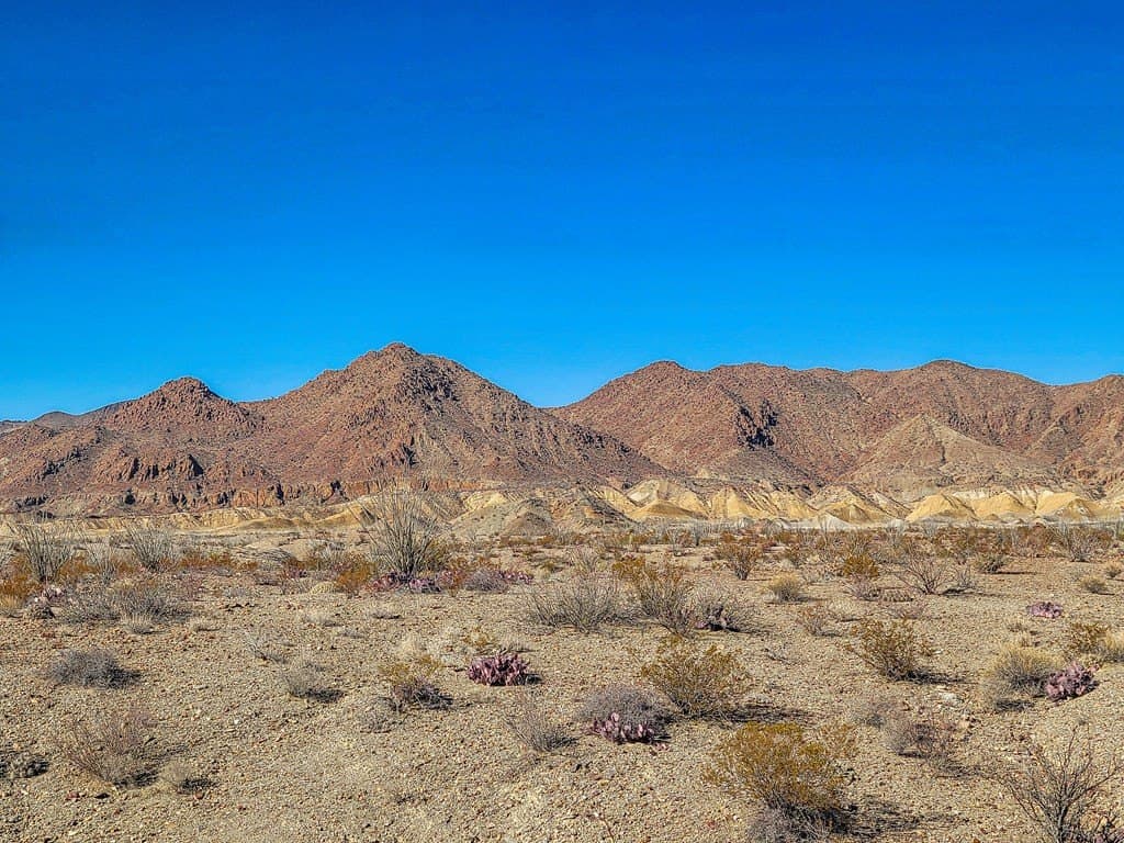 10 acres in Brewster County gallery image 4