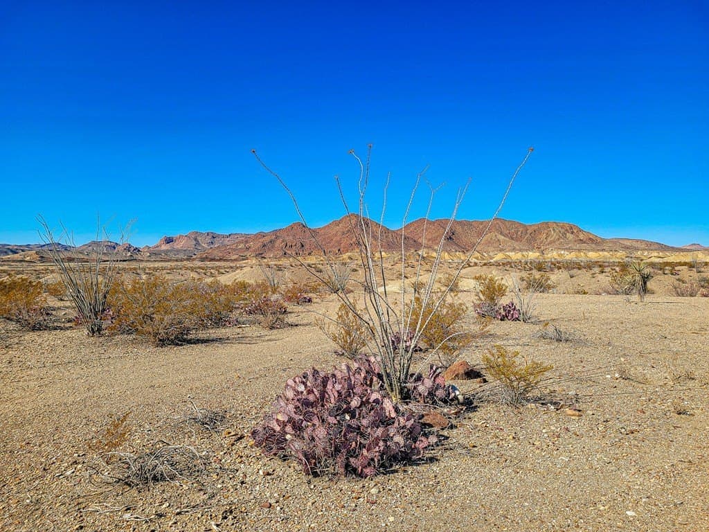 10 acres in Brewster County gallery image 2