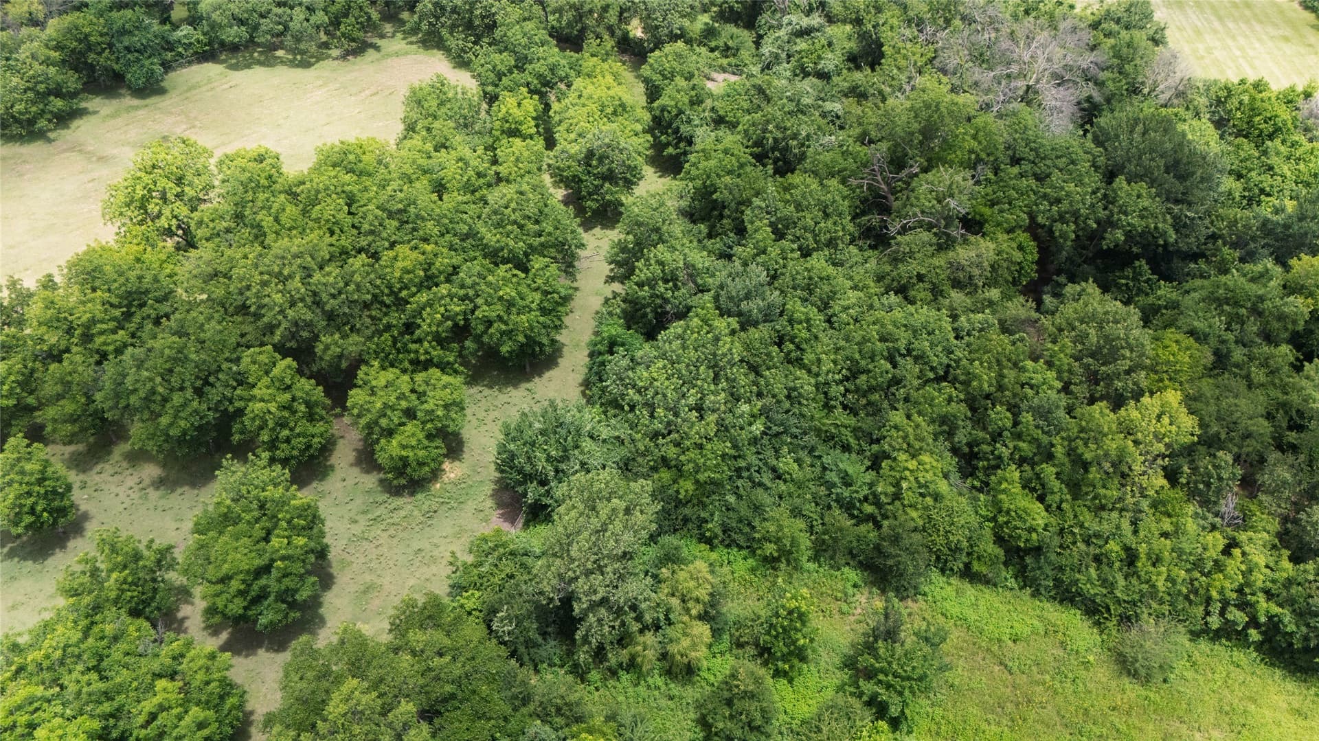 4.71 acres in Tarrant County - photo 19