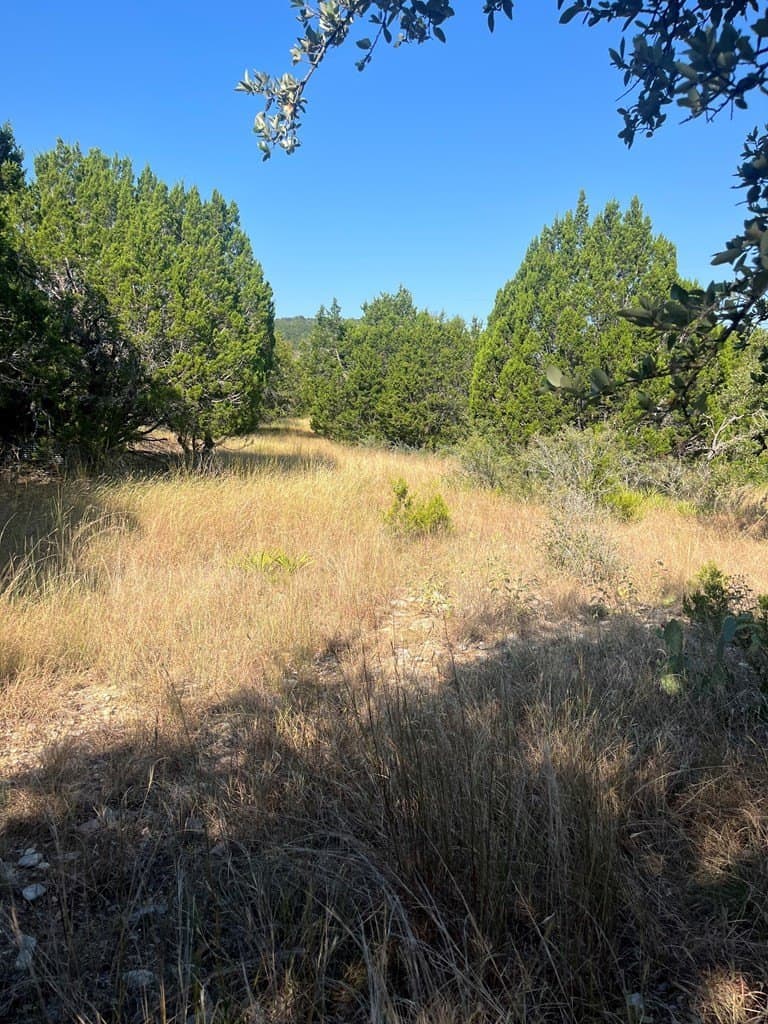 3.09 acres in Bandera County - photo 15